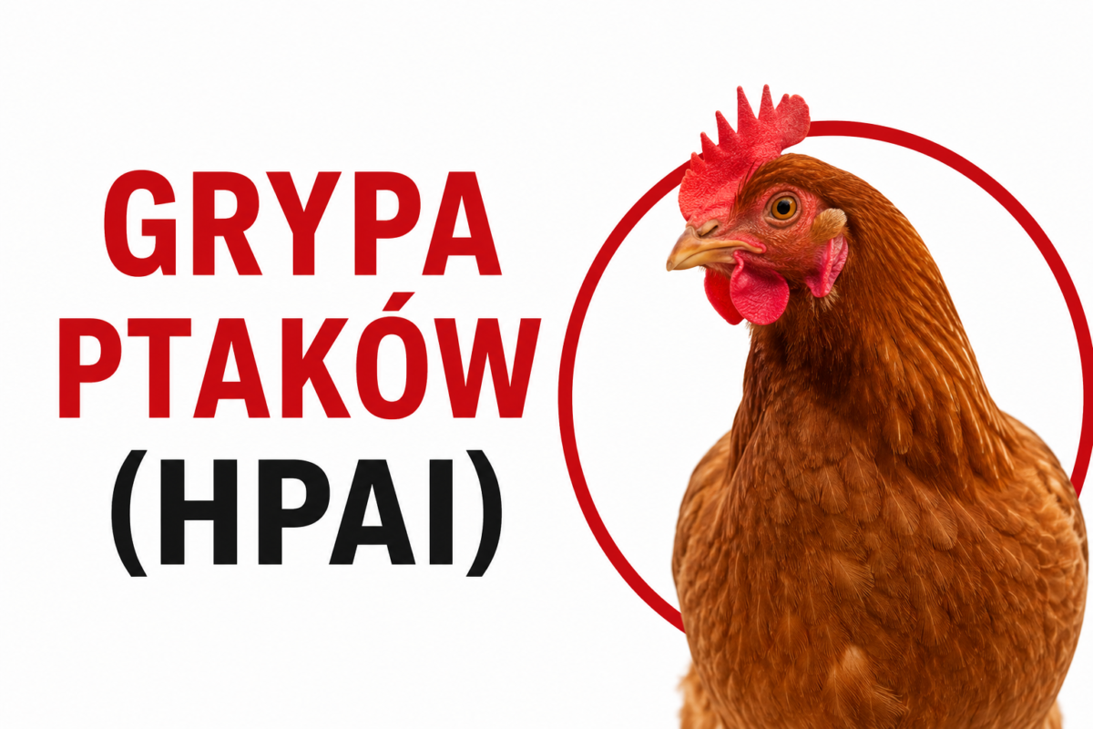 Wysoce zjadliwa grypa ptaków (HPAI)